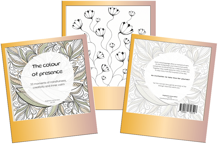 The colour of presence book preview